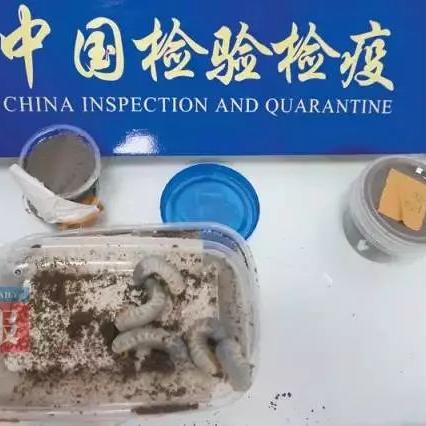 南宁市试管婴儿哪个医生好点呢