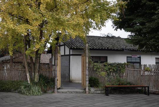 生于十三五⑨｜道明竹艺村“变形记”：从普通小村落，到“网红”乡村新模样