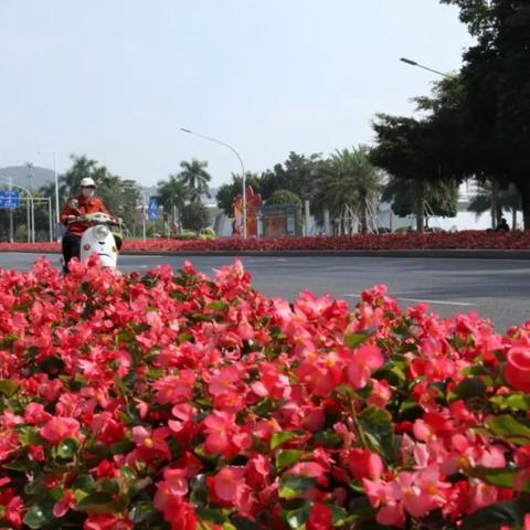 南宁市的荔滨大道怎么走