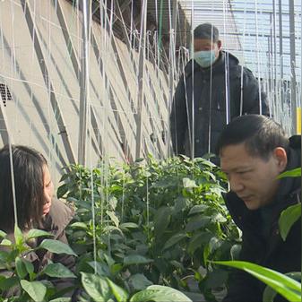 现在潍坊市到青州怎么走