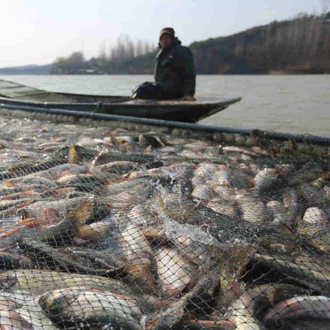 临沂市鱼跃岛的长尾关键词有哪些