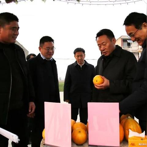 合肥市脱贫是哪个地方