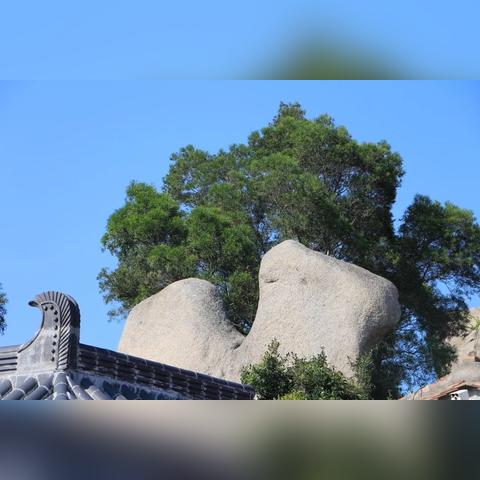 泉州市西郊发展规划的长尾关键词有哪些