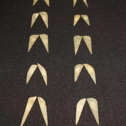 大连王妃的相关长尾关键词有哪些