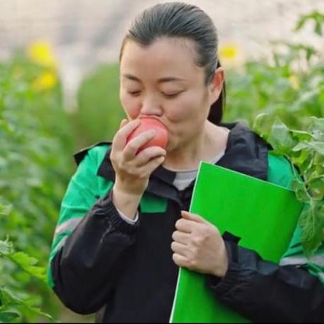 海外电商采购员 相关的长尾关键词有什么