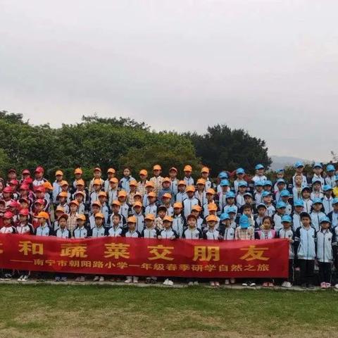 南宁市富宁小学怎么样