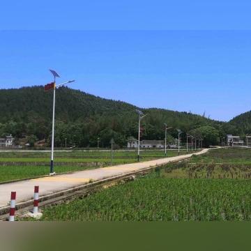 桂林市哪里收春笋的地方