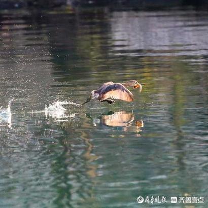 济南水上飞相关长尾关键词有哪些