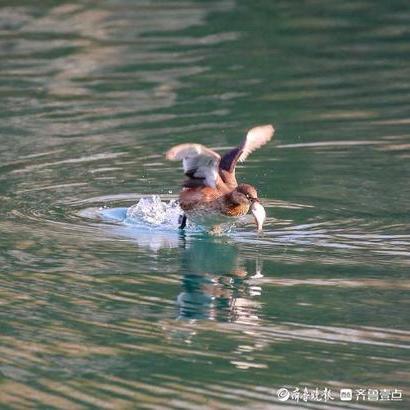 济南公交微步 版本相关长尾关键词有哪些