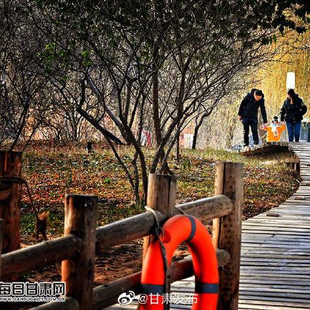 鸭子从兰州市哪里买的到