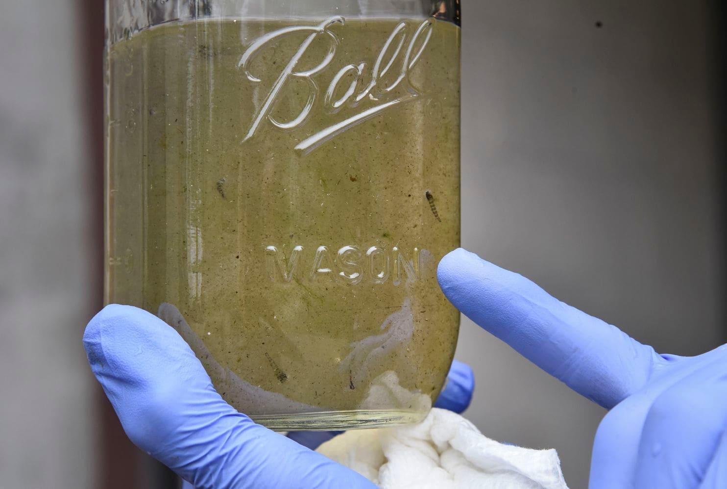 肝脏病杂志毕业论文范文格式病人将在一两天内死亡