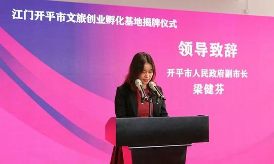 江门开平市文旅创业孵化基地揭牌构建“返乡创业+文化旅游+农村电商”发展新格局