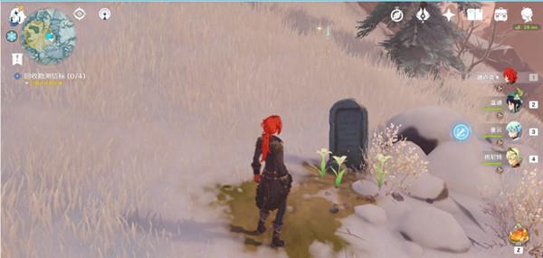 原神雪山的心脏任务怎么接（原神雪山怎样让三条鱼六个柱子）