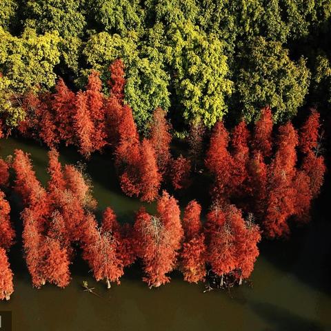 南宁市湖水县属于哪个区