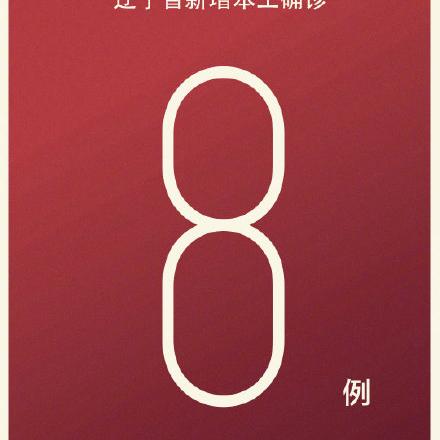 沈阳市感染者都在哪个区