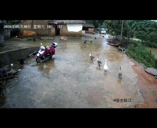 广东茂名4人“反伤”持刀行凶者，现场视频曝光！检察院：正当防卫，不捕