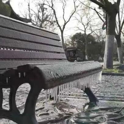 2025.12.24杭州今日气温变化情况