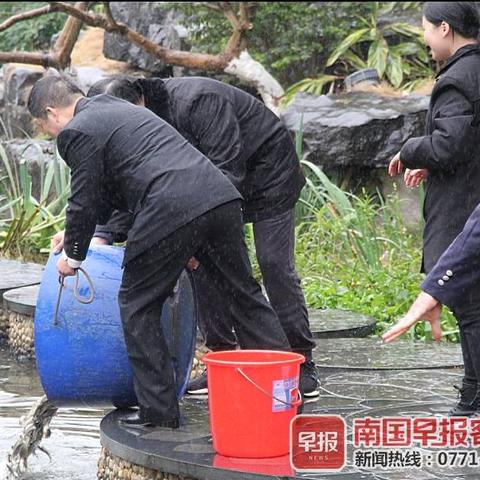 桂林市哪里有鱼苗买的到