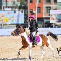 厦门马术俱乐部的相关长尾关键词有哪些