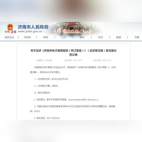 济南市哪些区域可以养大型犬
