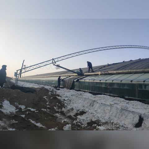 什么是蔬菜的冻害