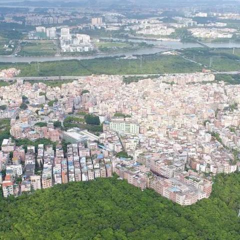 广州市关闭了多少个码头
