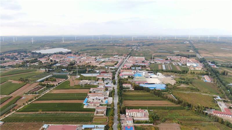 【莱西新闻网
 ,莱西新闻网络在线直播】