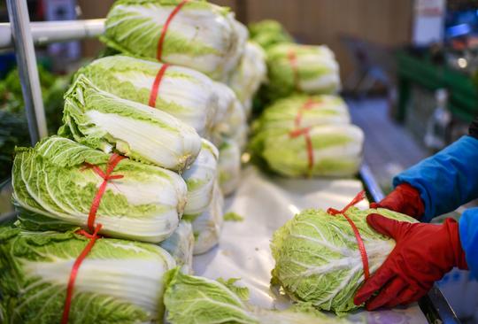吉林通化：生活物资按每户5天需求量半价配送“蔬菜包”