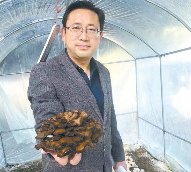 食用菌文献检索论文与生物信息学有关的学术期刊