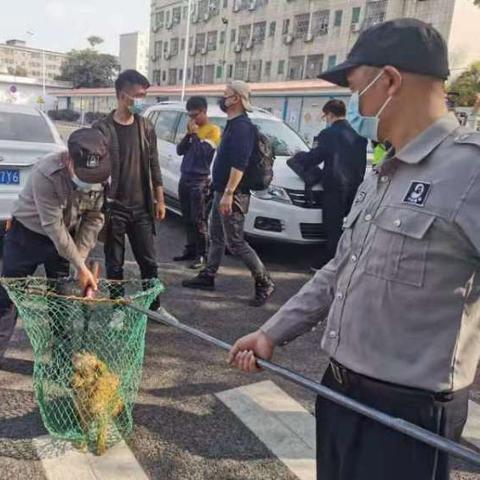 深圳观澜镇哪里厂多？