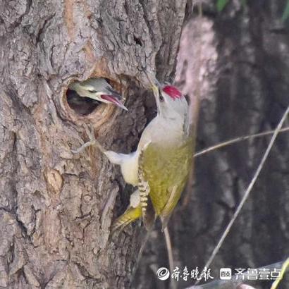 济南南郊宾馆地址地图相关长尾关键词有哪些