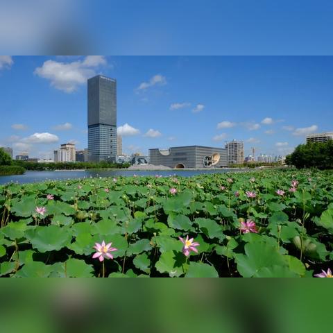 西安高新区图书馆相关长尾关键词有哪些