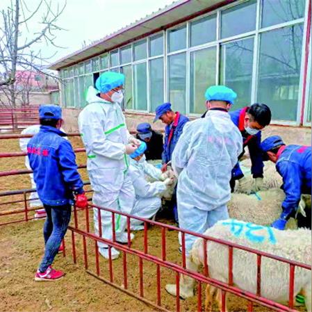 兰州市兽医研究所在哪里