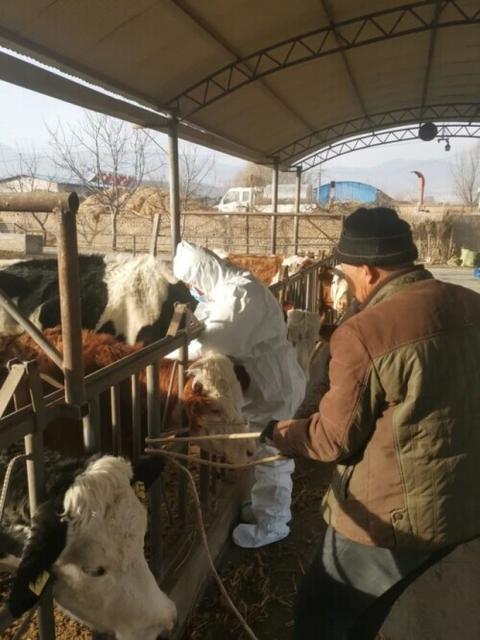 宠物代养是什么职业 宠物代养是什么职业