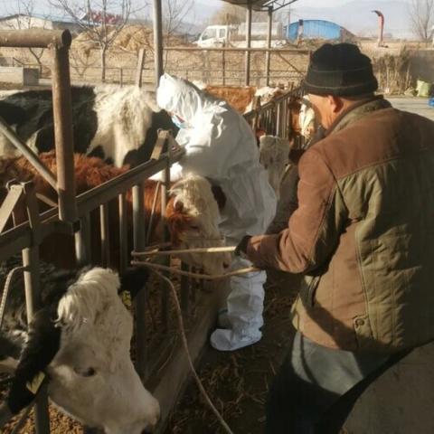 甘肃兰州市宠物回收站在哪里