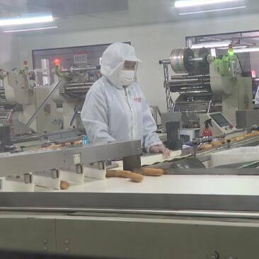 临沂市义务教育放假的长尾关键词有什么