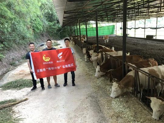 情暖农民工||资阳共青团服务保障农民工重点项目