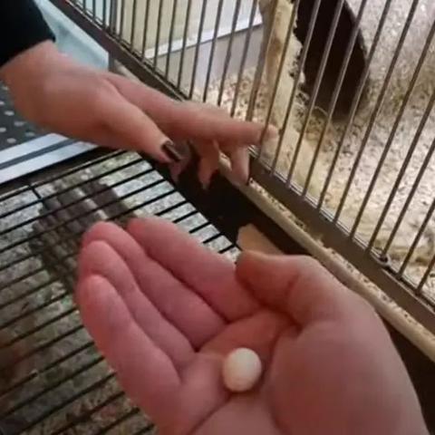 奇迹电影在线免费观看的长尾关键词有哪些