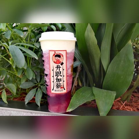 天津乐乐鲜果怎么样