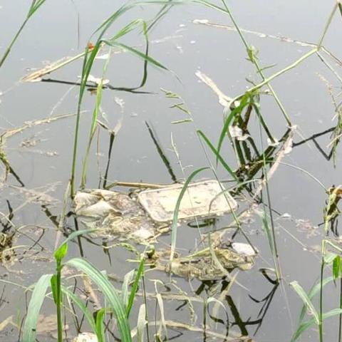 问政山东菏泽市教育的长尾关键词有什么