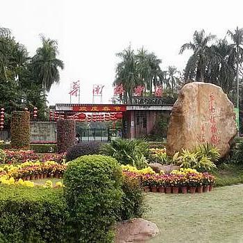 为什么广州市穗