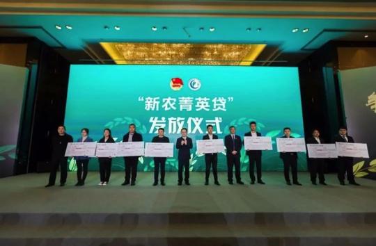 盘点｜青年有需求，团团有服务！2020团团为青年做的那些事儿