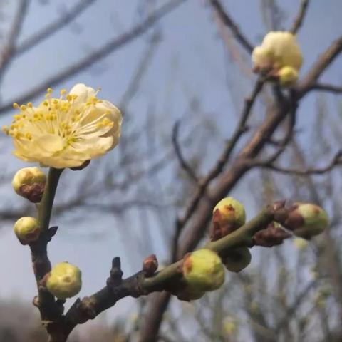 菏泽市秘境婚纱的长尾关键词有哪些