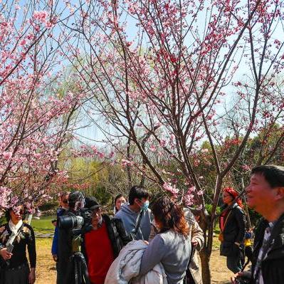 上海历史12月气温查询的长尾关键词有什么