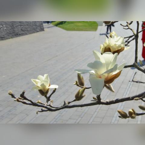 在公园做什么生意赚钱的长尾关键词是什么