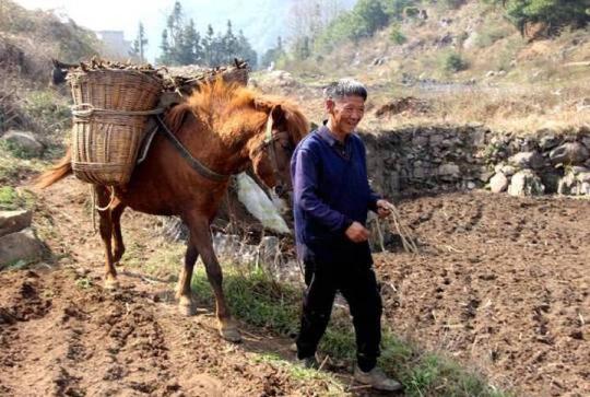 富源老厂镇：春耕备耕正当时