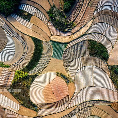 南宁市哪个物流到蒲庙镇