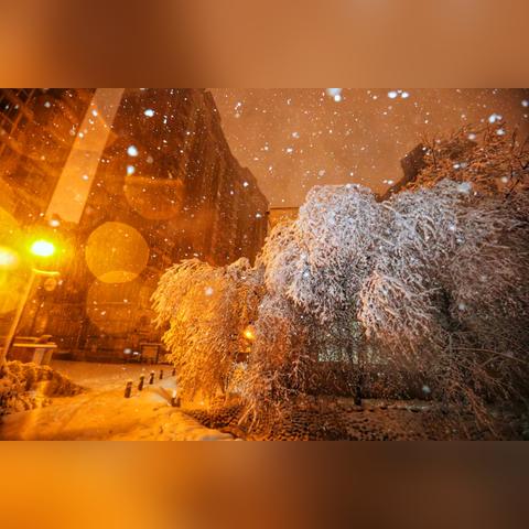 河南省豫药的相关长尾关键词有哪些