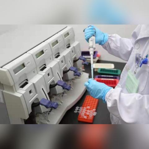 掌握节奏，赢在开局——王者荣耀前期发育攻略