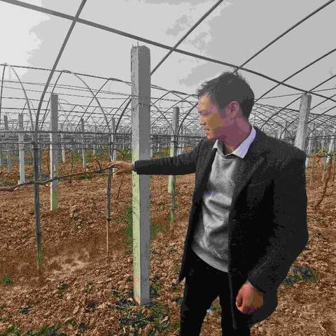 苏州新常熟服装厂衣服咋样的长尾关键词有什么